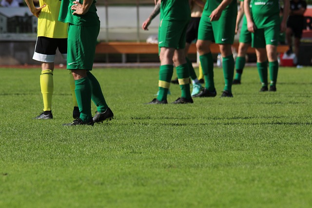 增添了动力 增添了动力